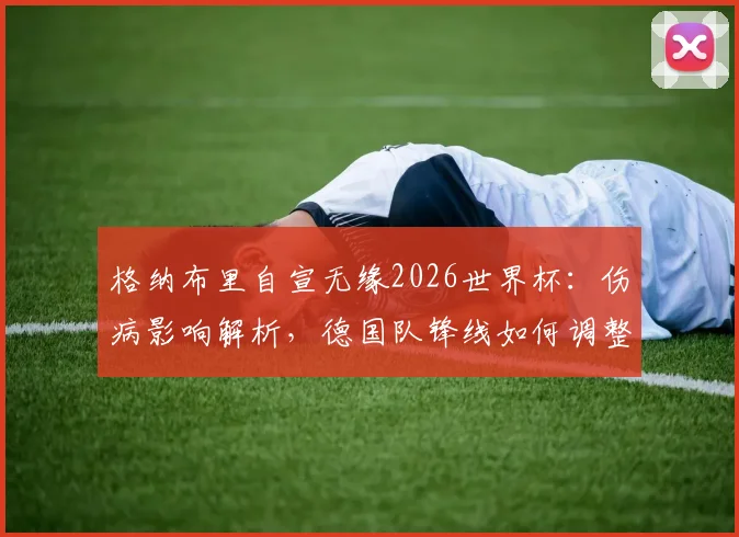 格纳布里自宣无缘2026世界杯：伤病影响解析，德国队锋线如何调整应对，附球员声明原文