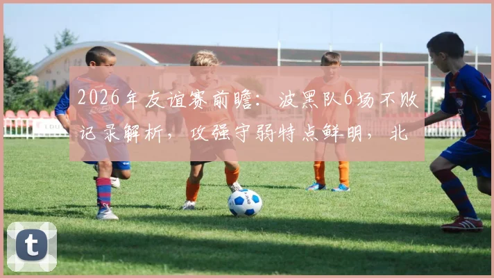 2026年友谊赛前瞻：波黑队6场不败记录解析，攻强守弱特点鲜明，北马其顿征召7名新人接受考察